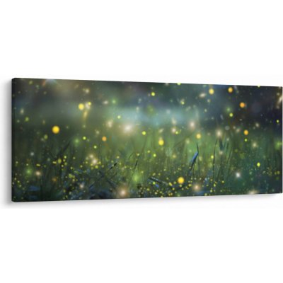 Obraz - Kouzelná noc, jednodílný 120x50 cm – Hledejceny.cz
