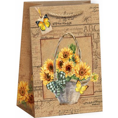 ARGUS Dárková papírová taška (13 x 18 cm) 07240152 – Zboží Živě