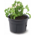 Květináč na pěstování brambor POTATO GROWER antracit 39,2 cm – Sleviste.cz
