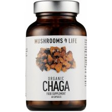 Mushrooms 4 Life Wild Chaga 60 kapslí