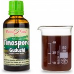 Bylinné Kapky Tinospora chebule srdčitá Guduchi tinktura 50 ml – Hledejceny.cz