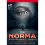 Norma: Royal Opera House - Pappano DVD – Sleviste.cz