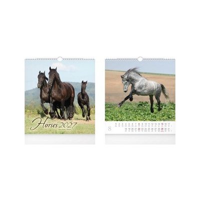 nástěnný malý Horses 1061735 2027 – Hledejceny.cz
