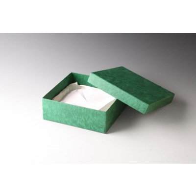 ETROFEJE ozdobní krabička 3338 zelená ozdobní krabička 33386 23x15,5x5cm – Zboží Mobilmania