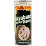 Philippine brand Džus z gravioly Soursop 250 ml – Sleviste.cz