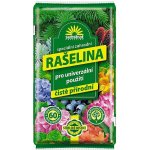 Forestina Standard rašelina 60 l – Sleviste.cz