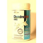 Orling - Chondrocan Forte 500 g – Hledejceny.cz