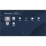 Viewsonic CDE7514-2 – Zboží Živě