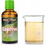 Kopřiva - tinktura z mladých výhonků (gemmoterapie) 50 ml - doplněk stravy – Hledejceny.cz