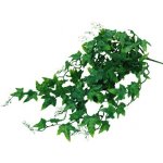Lucky Reptile Jungle Plants Ivy Bush 50 cm – Zboží Dáma