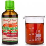 Bylinné kapky Duše rostlin Echinacea purpurea kvetoucí nať a kořen tinktura 50 ml – Hledejceny.cz