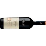 Vigne del Maestro Sangiovese Primitivo Puglia IGT 12,5% 0,75 l (holá láhev) – Sleviste.cz