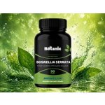 Botanic Boswellia serrata Extrakt z pryskyřice s 70% kyseliny boswelové 90 kapslí – Hledejceny.cz