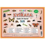 Zvířata hmyz - Sada 24 karet - Kupka a kolektiv Petr – Hledejceny.cz