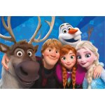Dino Frozen Selfie 24 dílků – Zboží Dáma