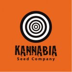 Kannabia Seeds Afrodite semena neobsahují THC 1 ks – Hledejceny.cz