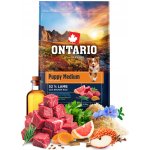 Ontario Puppy Medium Lamb & Brown Rice 6,5 kg – Hledejceny.cz