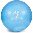 BOSU Ballast Ball Pro