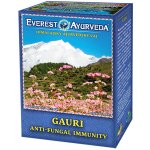 Everest Ayurveda GAURI Kandidóza a kožní plísně 100 g – Hledejceny.cz