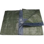 Extol Craft plachta PE nepromokavá standard 8 x 10 m – Zboží Dáma