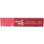 Divine Soul White Sage + Dragon's Blood indické vonné tyčinky 15 g – Zbozi.Blesk.cz