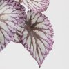 Květina Umělá větvička s listy begonie 2druhy, 40 cm