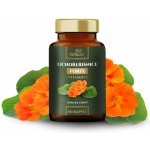 Herbavis LichořeřIšnice forte + Vitamín C 60 kapslí – Hledejceny.cz
