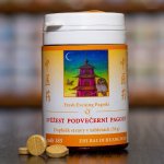 TCM Herbs Svěžest podvečerní pagody 185 100 tablet – Sleviste.cz
