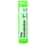 RHUS TOXICODENDRON POR 5CH GRA 4G – Hledejceny.cz