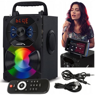 Přenosný Audiocore AC730 rádio SD MMC aux in USB osvětlení dálkové ovládání teleskopická anténa připojení mikrofonu – Zboží Dáma