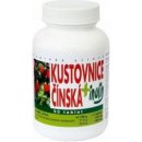 Naturvita Kustovnice čínská Inulín 90 tablet