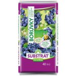Forestina Standard substrát Borůvky a ostatní kyselomilné rostliny 40 l – Zboží Dáma