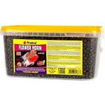 Tropical Flower Horn Adult Pellet 3 l – Hledejceny.cz