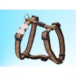 Red Dingo Hypno postroj – Hledejceny.cz