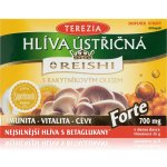 Terezia Company Hlíva ústřičná s Reishi Forte 60 kapslí – Hledejceny.cz