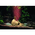 Hydor Ario červené vzduchování Buffalo EU 50 - 180 l/h – Zboží Dáma