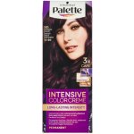Pallete Intensive Color Creme Intenzivní fialová V5 – Zboží Dáma