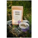 Ecopets Energie bylinná směs pro játra 100 g – Hledejceny.cz