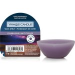 Yankee Candle Stargazing vonný vosk 22 g – Hledejceny.cz