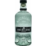 Nocheluna sotol 43% 0,7 l (holá láhev) – Zboží Dáma Nocheluna sotol 43% 0,7 l (holá láhev) – Zboží Dáma