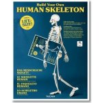 Build Your Own Human Skeleton – Zbozi.Blesk.cz