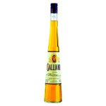Galliano Vanilla 30% 0,7 l (holá láhev) – Zboží Dáma