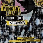Various Artists - Punk N' Bleach A Punk Tribute To Nirvana LP – Zbozi.Blesk.cz
