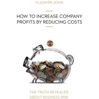 HOW TO INCREASE COMPANY PROFITS BY REDUCING COSTS - John Vladimir
