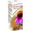 Ústní sprej PM Propolis Echinacea extra 3% spray 25 ml