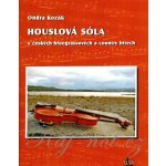Houslová sóla v českých bluegrassových a country hitech + DVD – Hledejceny.cz