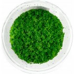 Hemianthus callitrichoides Cuba – Zboží Dáma