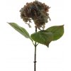 Květina Hortenzie - Hydrangea 'Pipa' modrá V52 cm (N945074)