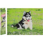 GRAFIX Diamantové malování Husky 40 x 50 cm – Hledejceny.cz