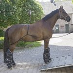 Waldhausen Nastupovací postroj černý – Hledejceny.cz